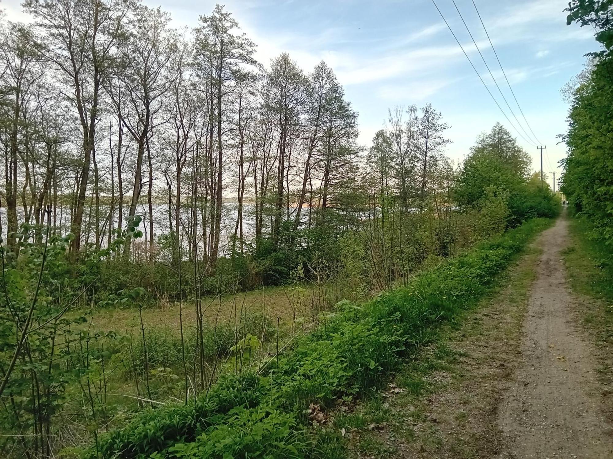 Pokoje Goscinne Sloneczny Klon Dabrowno Zewnętrze zdjęcie