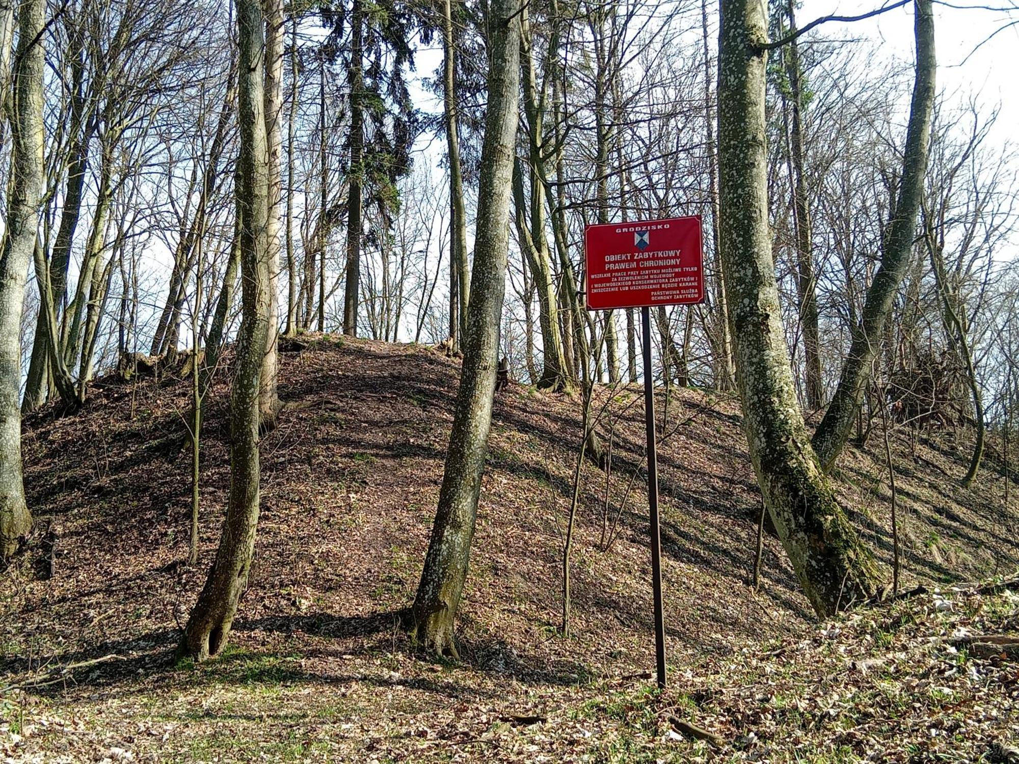 Pokoje Goscinne Sloneczny Klon Dabrowno Zewnętrze zdjęcie